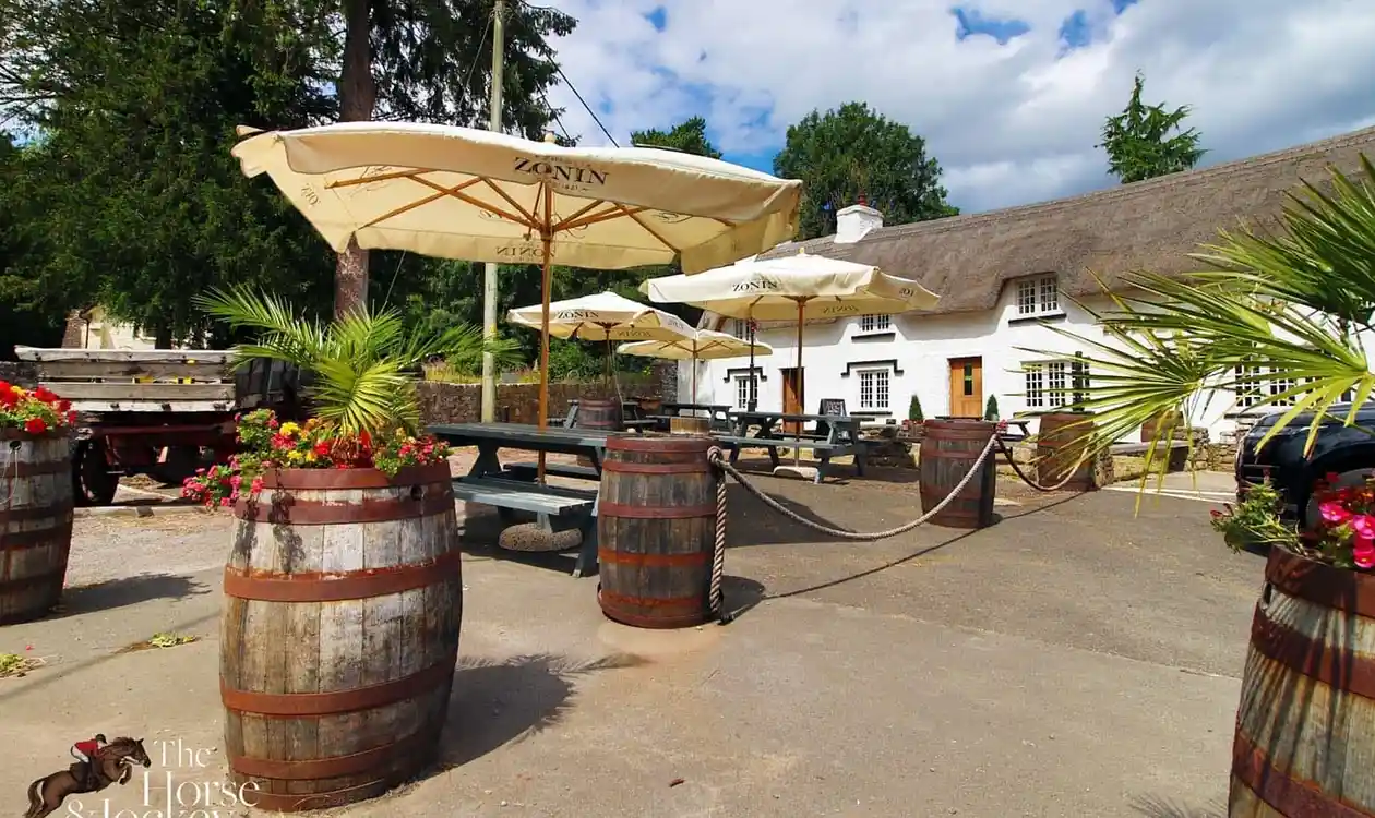 The Horse and Jockey, photo 2