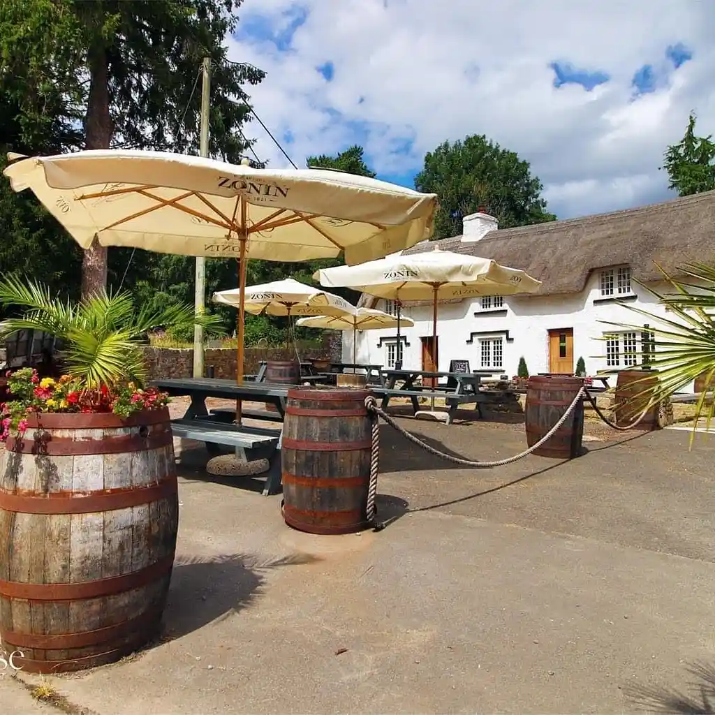 The Horse and Jockey, photo 3